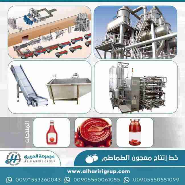 Tomato Paste Tomato Puree Production Line LionMak Top Quality 2020