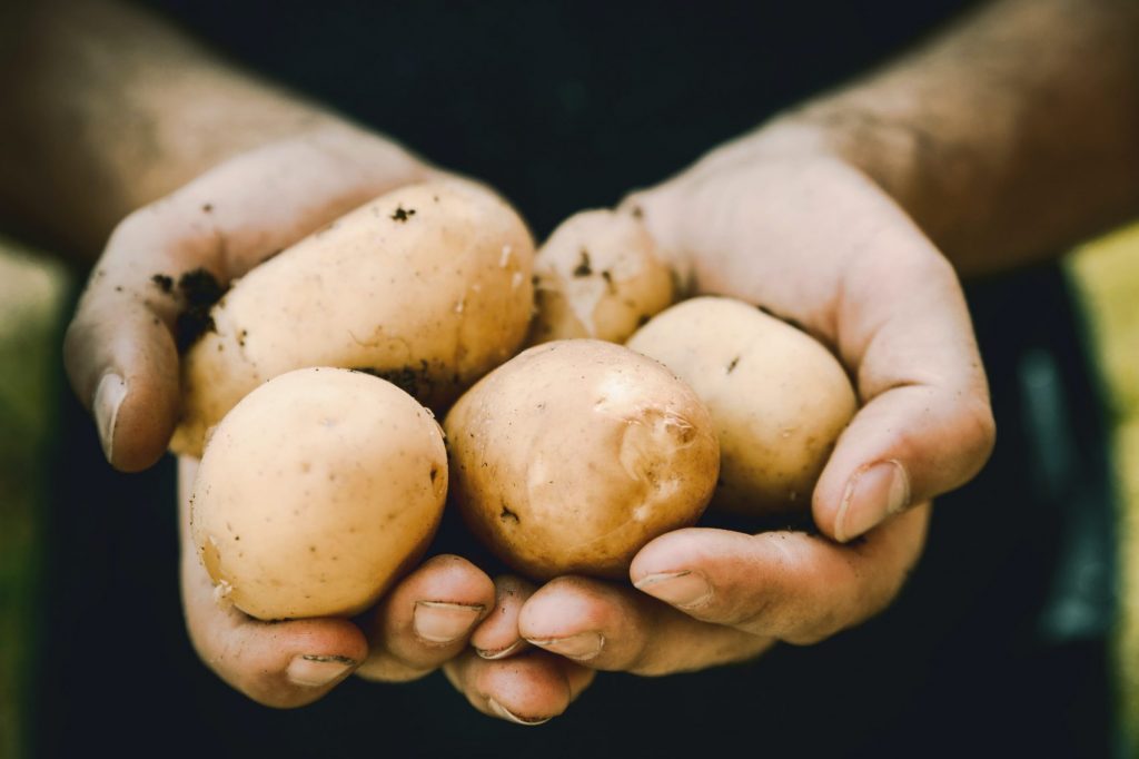 Alhariri Potatoes Products