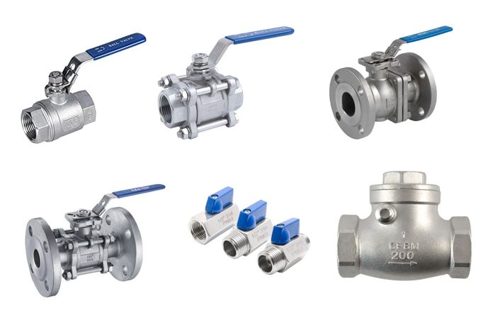 Stainless Global Check Valve