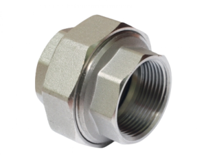 Stainless Steel Record Gear Tapered Coupling Union 304/316