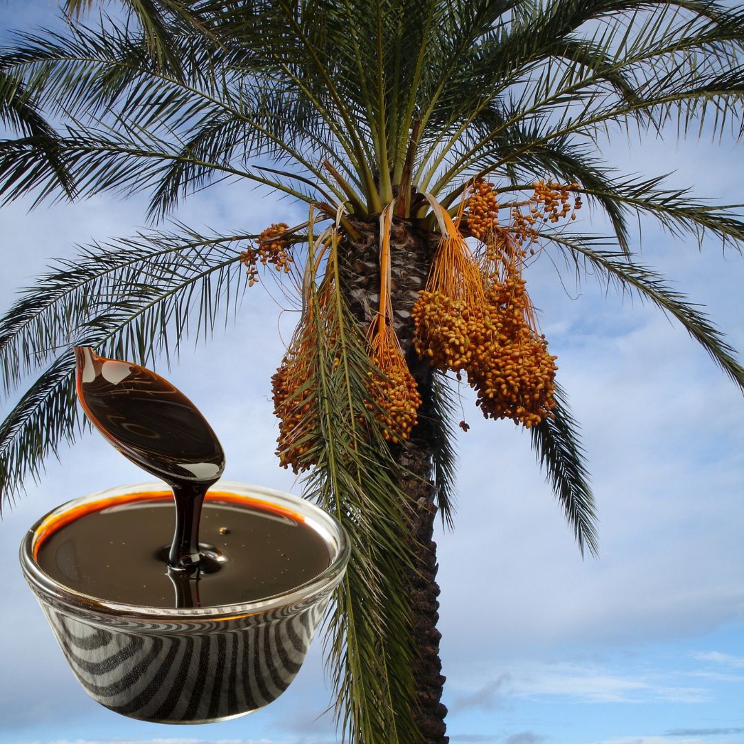 Dates Molasses Production Factory - Turkish Hariri Group
