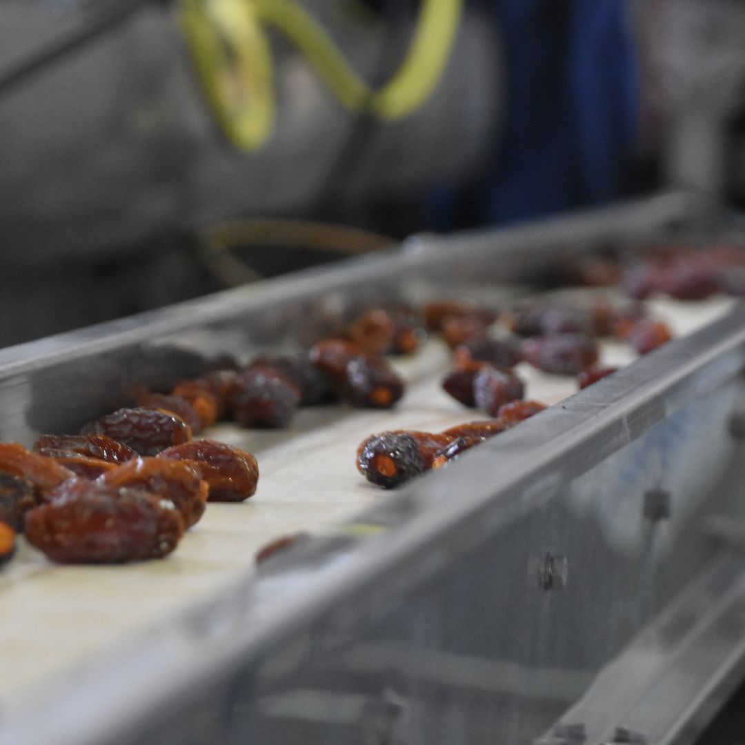 Dates Molasses Production Factory - Turkish Hariri Group