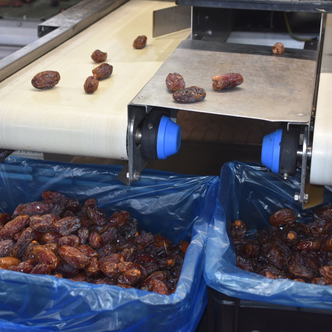 Dates Molasses Production Factory - Turkish Hariri Group