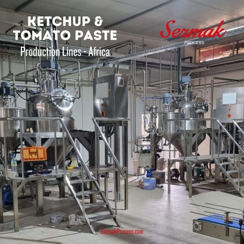 Tomato Paste & Ketchup Food Process Factory Sold in Africa 2023